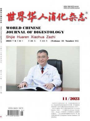 世界华人消化